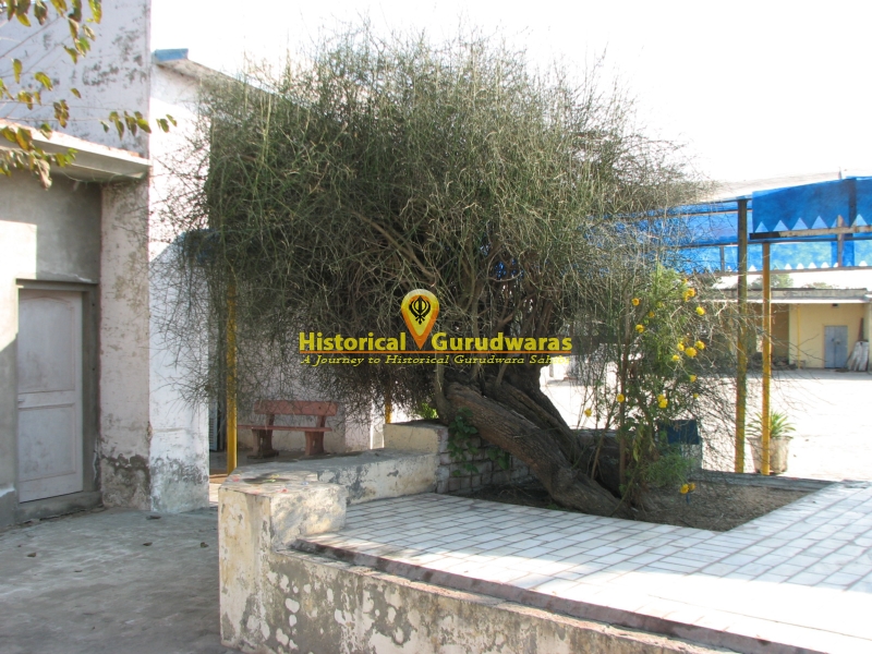 Gurdwara Sri Sohiana Sahib Patshahi Nauvin, Sohiana — view 4